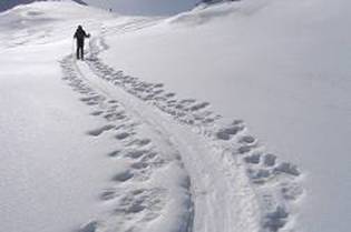 Huellas nieve